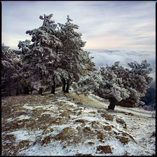 Схема вышивки «зима»