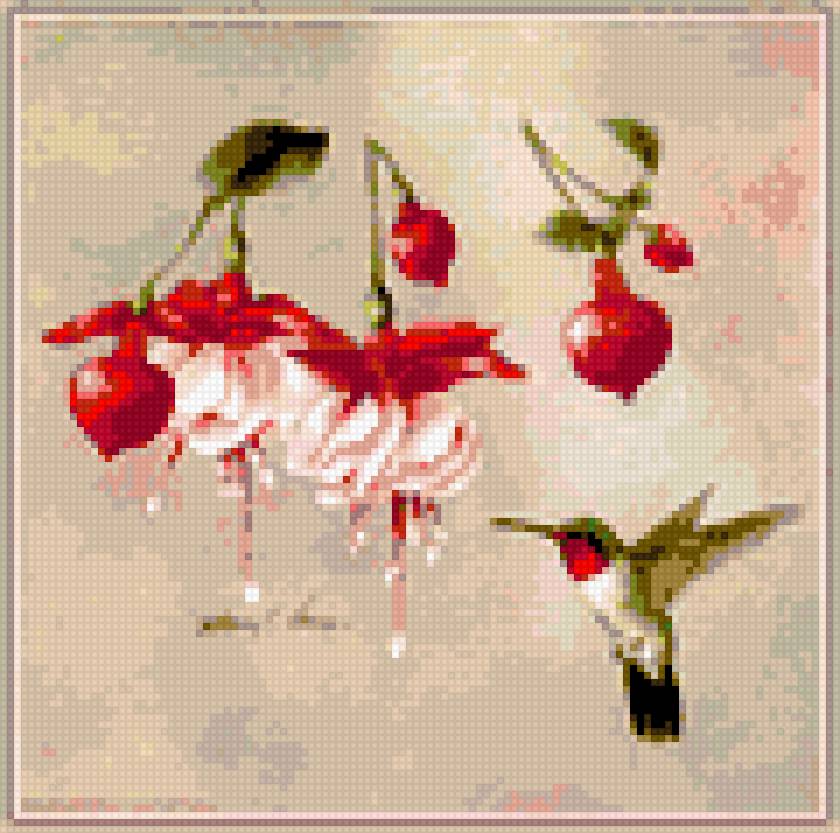 калибри и фуксии - фуксии, цветы, птицы, калибри - предпросмотр