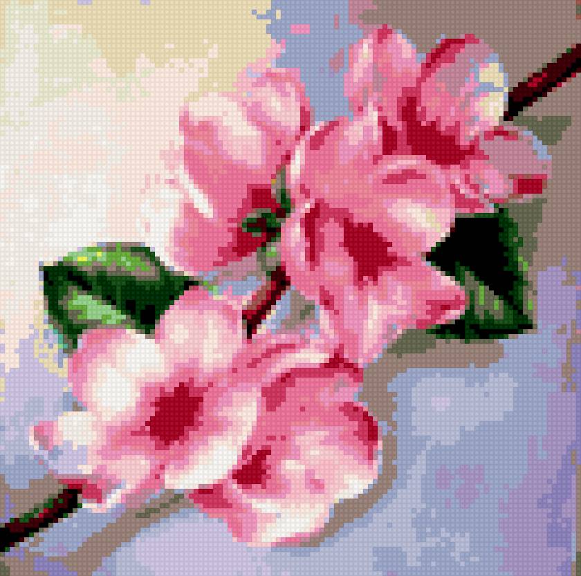 яблоневый цвет - цветы, цвет яблони - предпросмотр