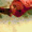 Предпросмотр схемы вышивки «розы плетистые» (№188367)