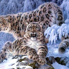 Схема вышивки «Снежные барсы»