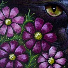 Схема вышивки «коты»