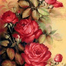 Схема вышивки «рози»