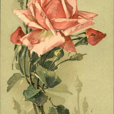 Схема вышивки «№188536»