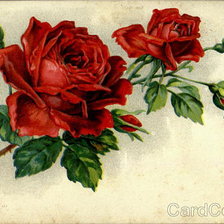 Схема вышивки «№188554»