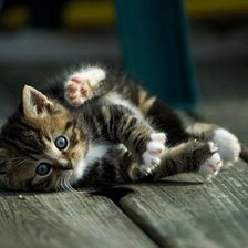 Схема вышивки «Мама, я упал...»