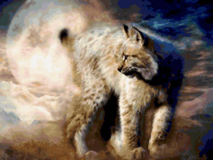 рысь - хищники, животные, рысь - предпросмотр