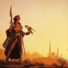 Схема вышивки «девушка с ястребом»