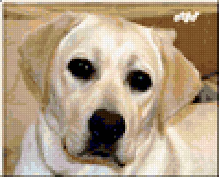 королева - собака - предпросмотр