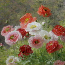 Схема вышивки «МАКИ»