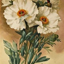 Схема вышивки «№188919»