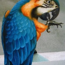 Схема вышивки «красавиц»