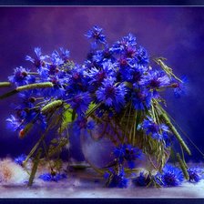 Схема вышивки «букет васельков»