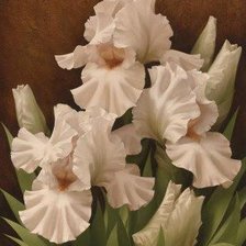 Схема вышивки «№189085»