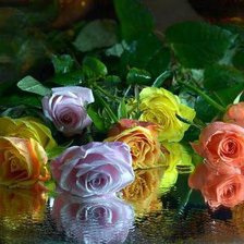 Схема вышивки «Буйство красок»