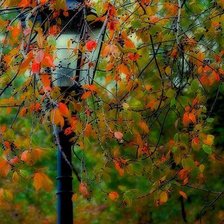 Схема вышивки «В осеннем парке бродит грусть...»