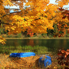 Схема вышивки «Осень золотая»