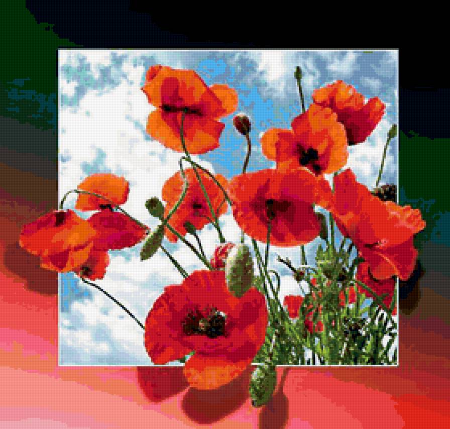 маки - маки, весна, картина, живопись, цветы, природа - предпросмотр