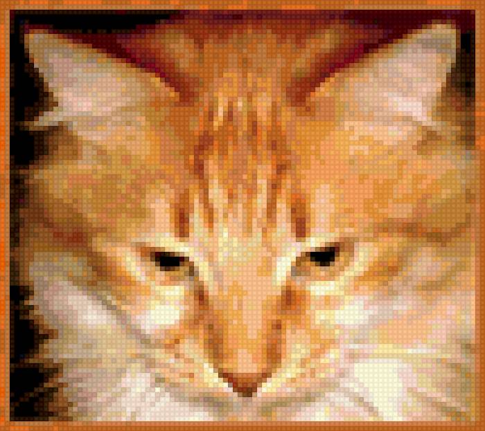 Рыжий кот№2 - предпросмотр