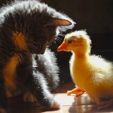 Схема вышивки «друзья»