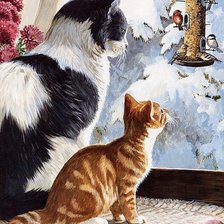 Кошки у окошка