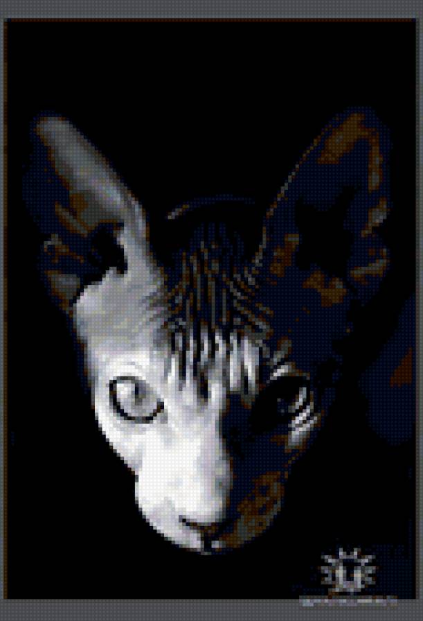 Египетская киса. - картина, кошка, кот, фотография, животные - предпросмотр