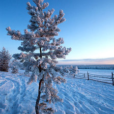 Схема вышивки «зима»