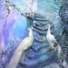 Схема вышивки «белый павлин»