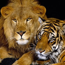 Схема вышивки «ktdrf b nbuhf»