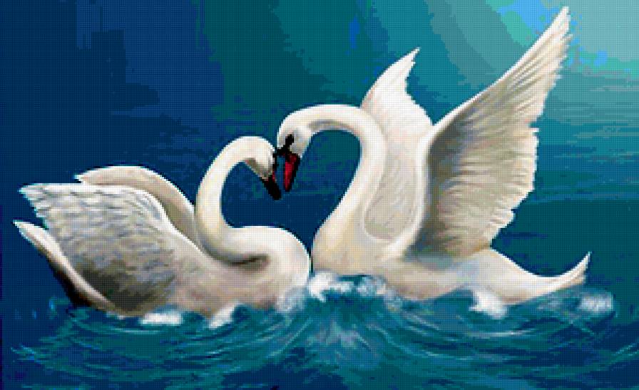 пара лебедей - природа, озеро, птицы - предпросмотр