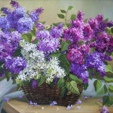 Схема вышивки «Сирень»