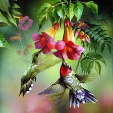 Схема вышивки «Колибри»