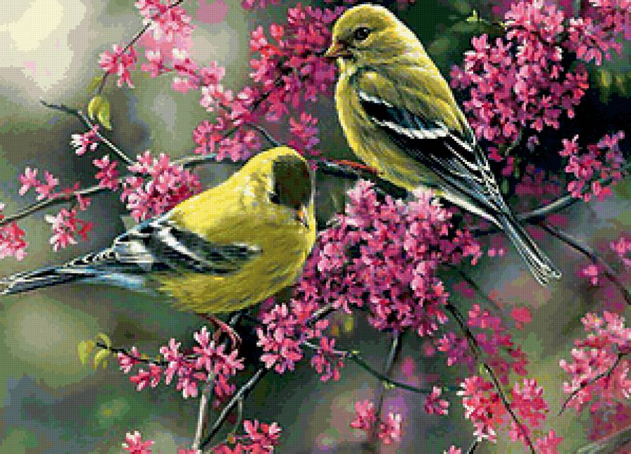 птички на ветке - птицы, природа - предпросмотр