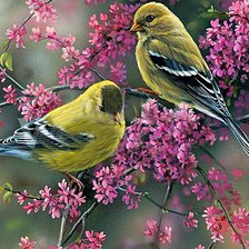 Схема вышивки «птички на ветке»