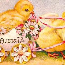 Схема вышивки «Цыплята»