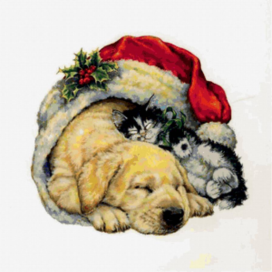 крепкий сон - котенок, собака - предпросмотр