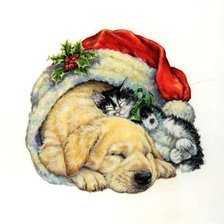 крепкий сон