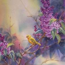 Схема вышивки «Сирень»