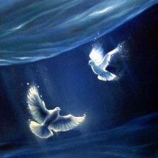 Схема вышивки «пара голубей»