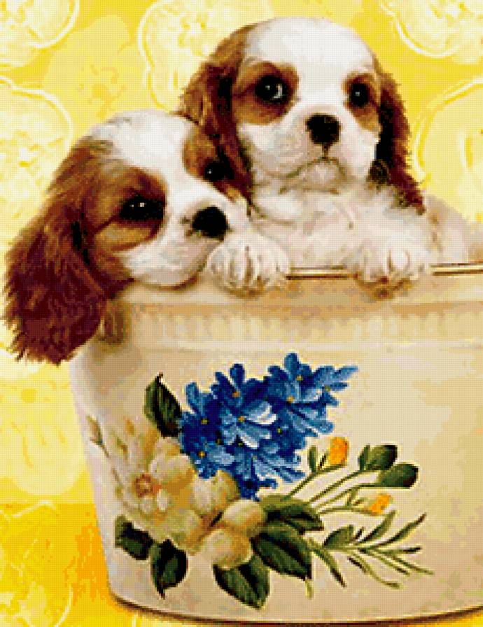 щенки в кружке - животные, собаки - предпросмотр