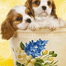 Схема вышивки «щенки в кружке»