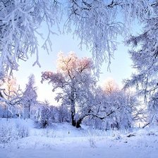 Зимняя сказка