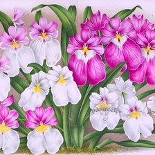 Схема вышивки «№189952»