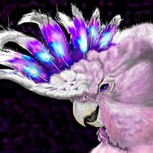 Схема вышивки «попугай»