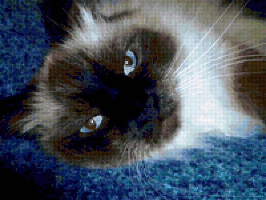 Сёмочка - предпросмотр