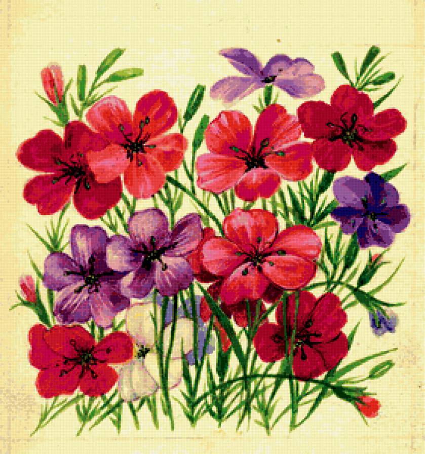 Лен - живопись, цветы - предпросмотр