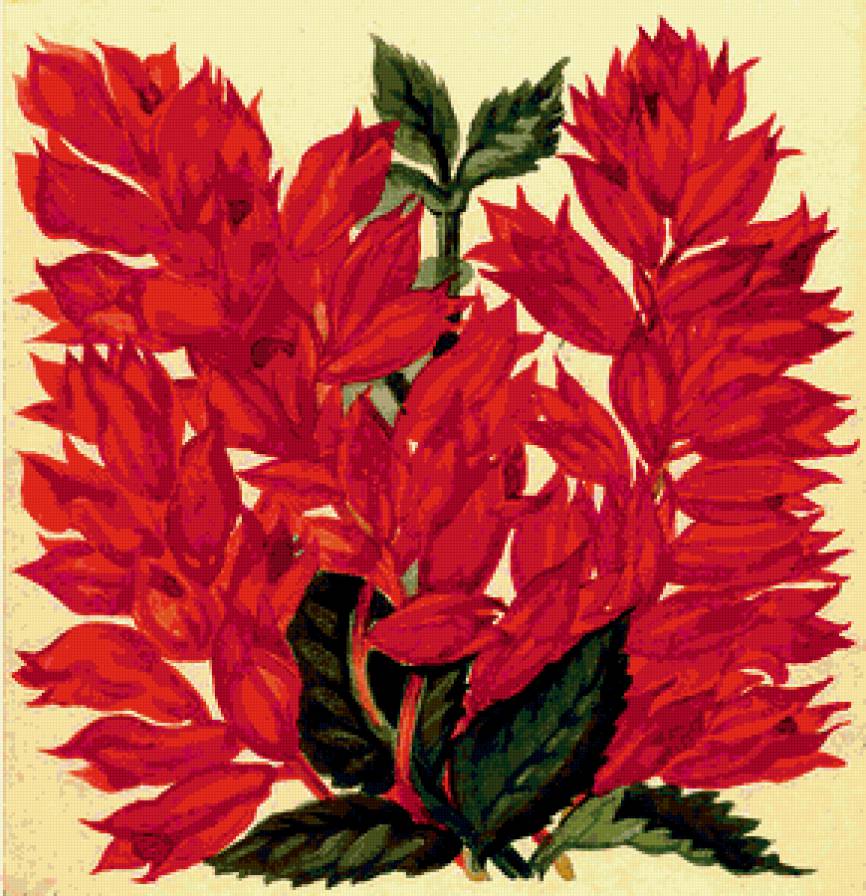 Сальвия - живопись, цветы - предпросмотр