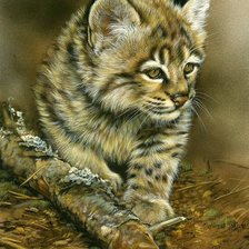 Схема вышивки «№190242»