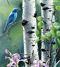 Схема вышивки «№190250»