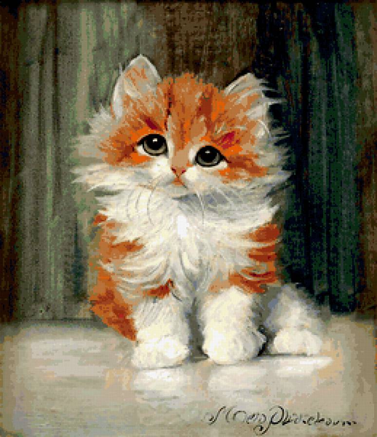 Рыжик - животные, картина, кошки - предпросмотр